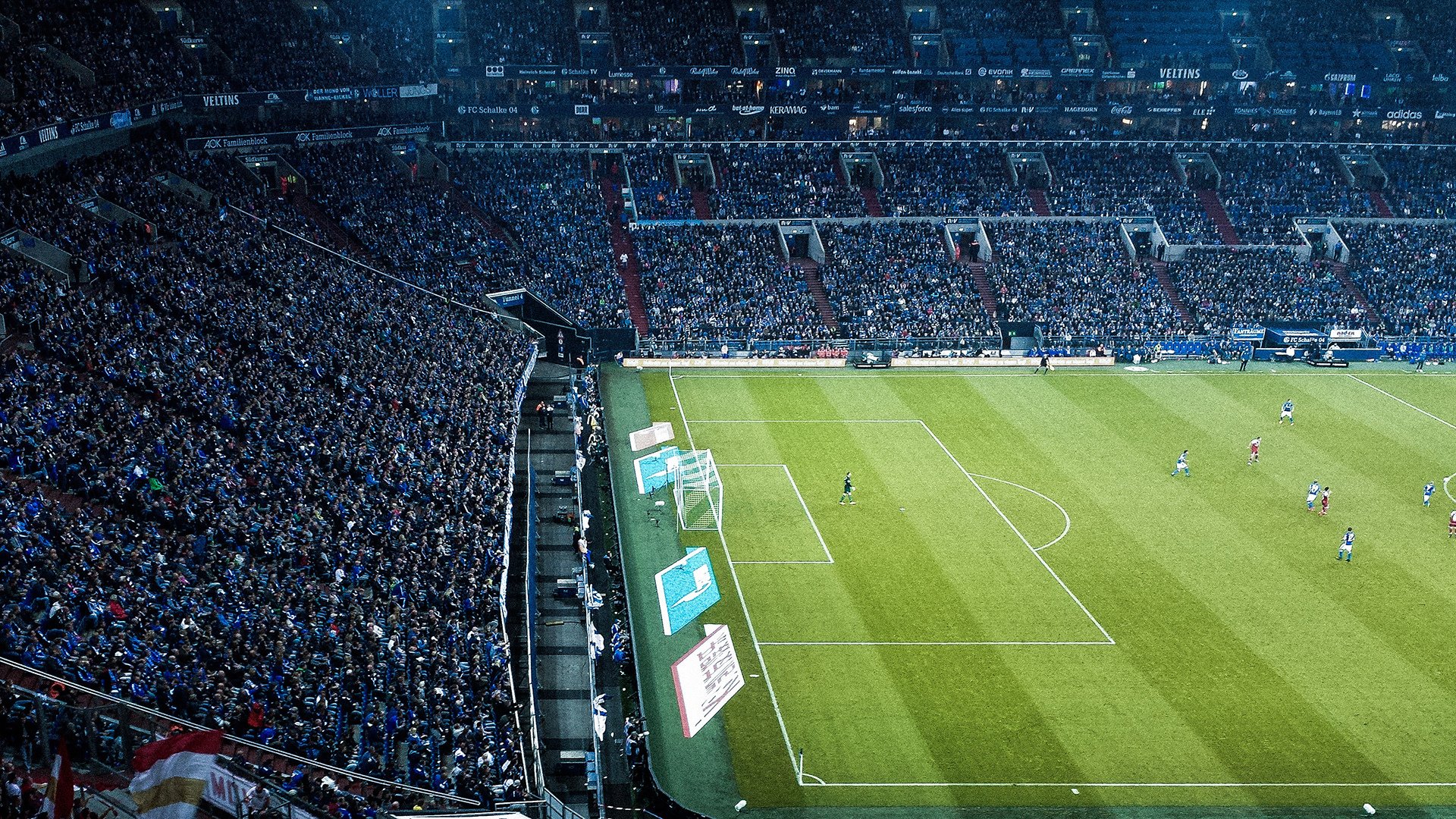 独家报道：现场志愿者的幕后故事，志愿者vlog