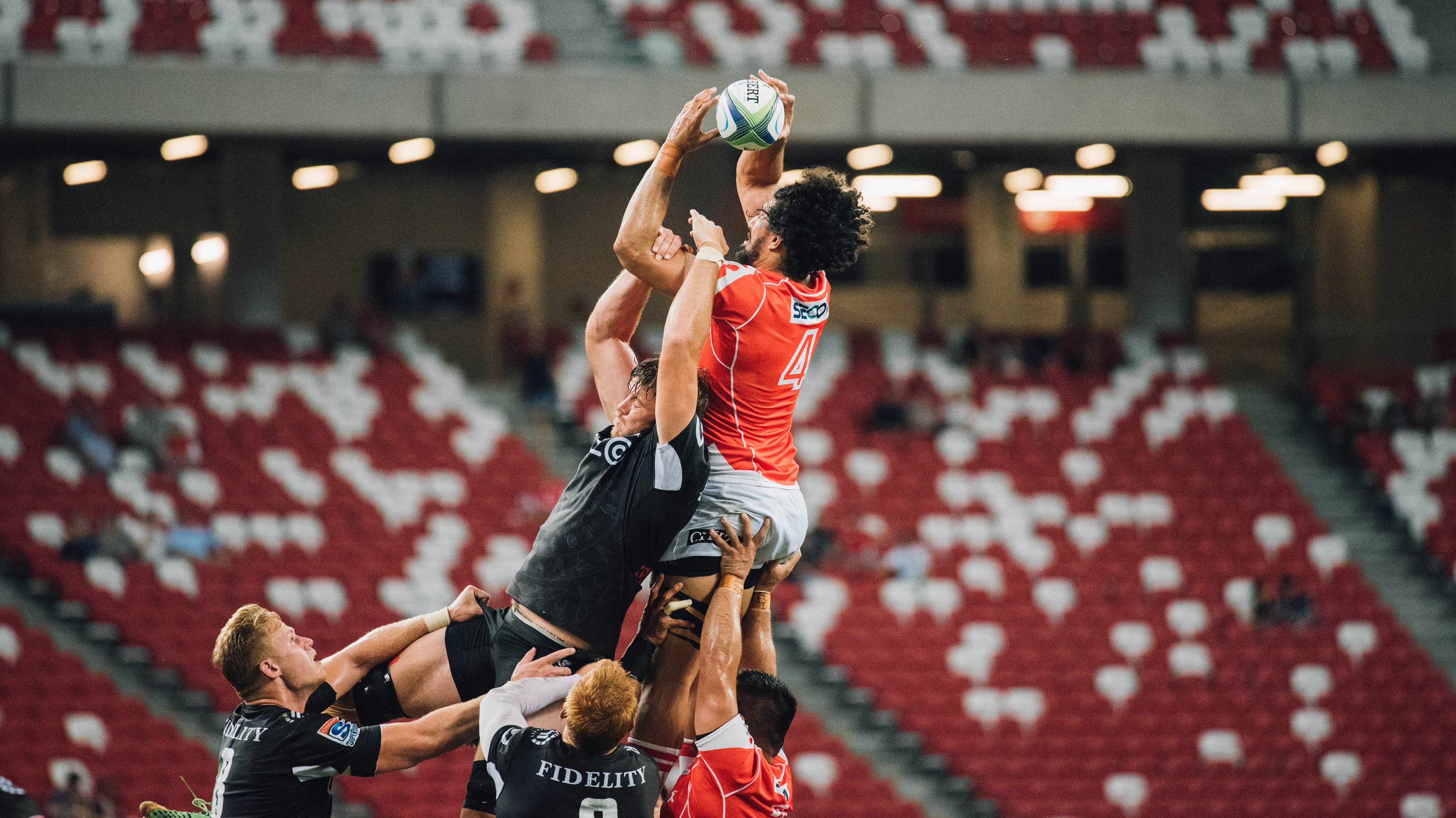 福建豹发力球队整体配合日益流畅，福建豹发力球员名单